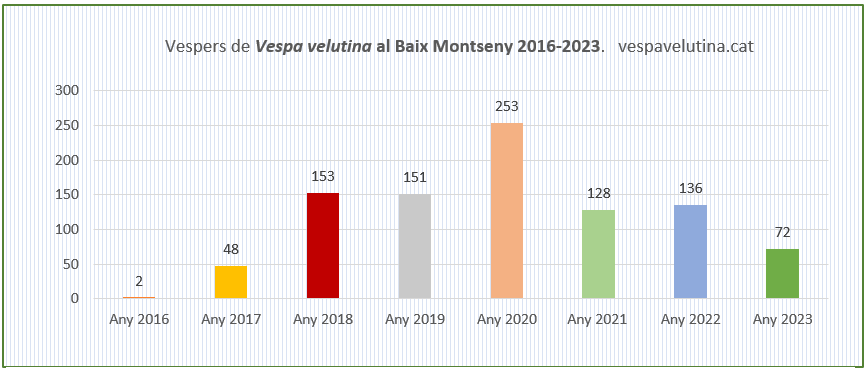 Resum de vespers de Vespa velutina al Baix Montseny
